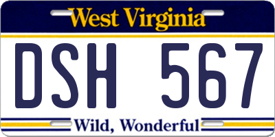 WV license plate DSH567