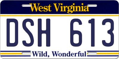 WV license plate DSH613
