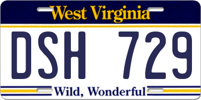 WV license plate DSH729