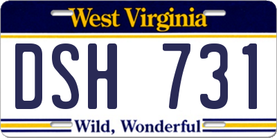 WV license plate DSH731