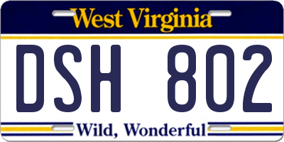 WV license plate DSH802