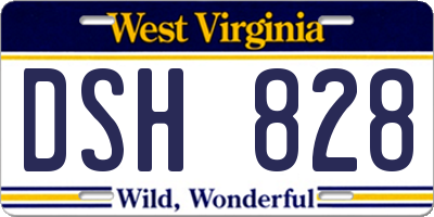 WV license plate DSH828