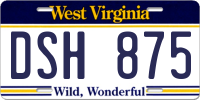 WV license plate DSH875