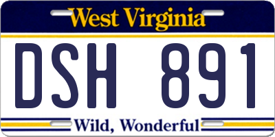 WV license plate DSH891