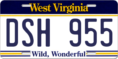 WV license plate DSH955
