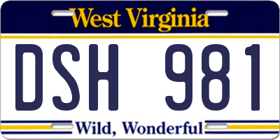 WV license plate DSH981