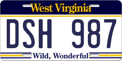 WV license plate DSH987