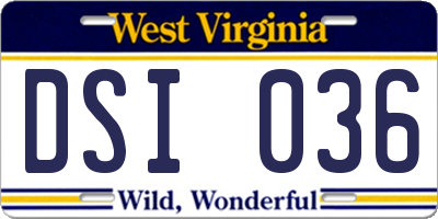 WV license plate DSI036