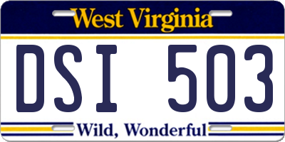 WV license plate DSI503