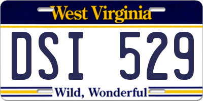 WV license plate DSI529