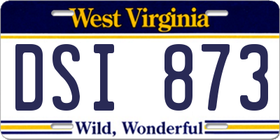 WV license plate DSI873