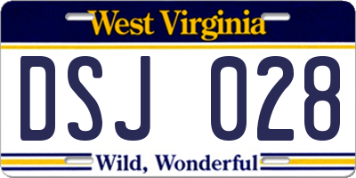 WV license plate DSJ028