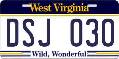 WV license plate DSJ030