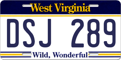 WV license plate DSJ289