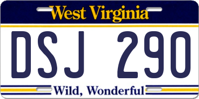WV license plate DSJ290