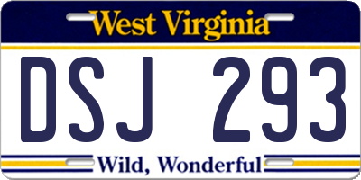 WV license plate DSJ293