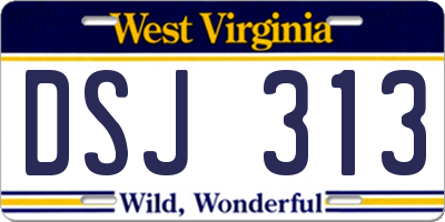 WV license plate DSJ313