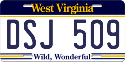 WV license plate DSJ509