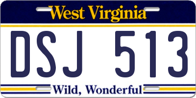 WV license plate DSJ513