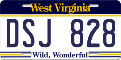 WV license plate DSJ828