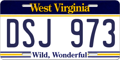 WV license plate DSJ973
