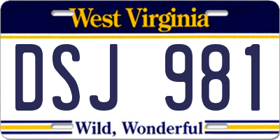 WV license plate DSJ981