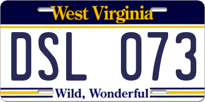 WV license plate DSL073
