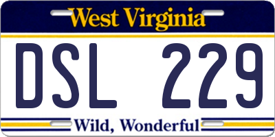 WV license plate DSL229