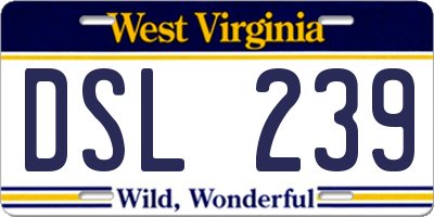 WV license plate DSL239