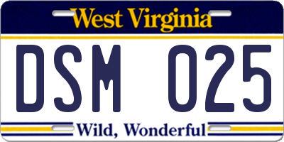 WV license plate DSM025