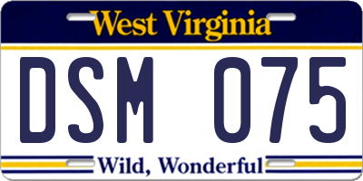 WV license plate DSM075