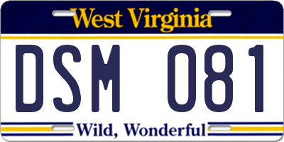 WV license plate DSM081