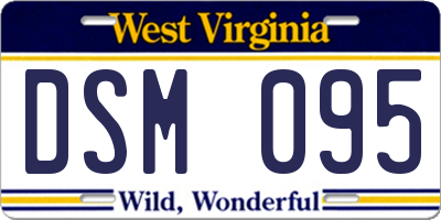 WV license plate DSM095
