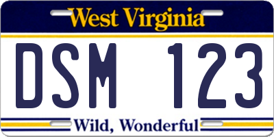 WV license plate DSM123