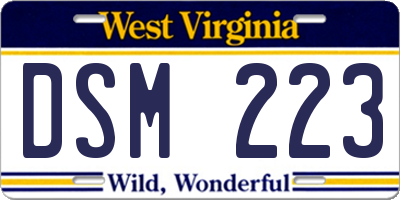 WV license plate DSM223