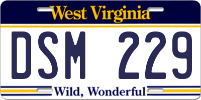 WV license plate DSM229