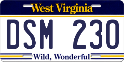 WV license plate DSM230