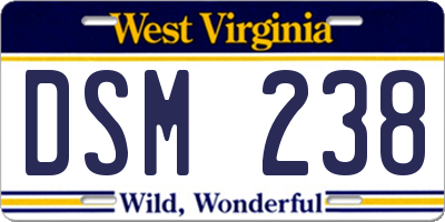 WV license plate DSM238