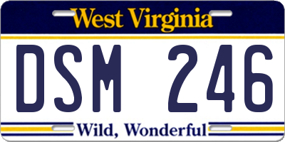 WV license plate DSM246