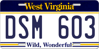 WV license plate DSM603