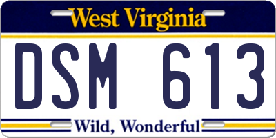 WV license plate DSM613