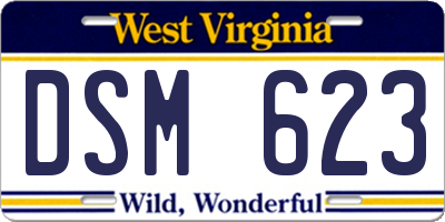 WV license plate DSM623