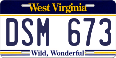 WV license plate DSM673