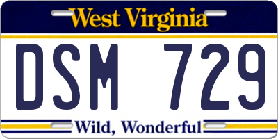 WV license plate DSM729