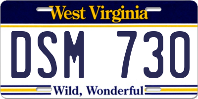 WV license plate DSM730