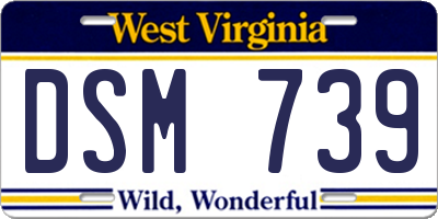 WV license plate DSM739
