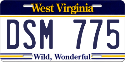 WV license plate DSM775