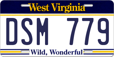 WV license plate DSM779
