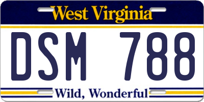 WV license plate DSM788