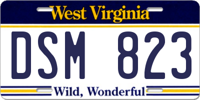 WV license plate DSM823